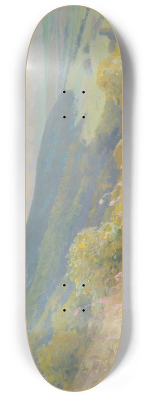 udovt ordk - Landscape 8.25 inch art skate deck