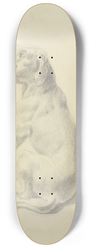 Victor Mller - Sitting dog to the left 8.25 inch art skate deck