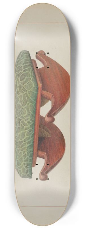 Vincent P. Rosel - Rocker Footstool 8.25 inch art skate deck