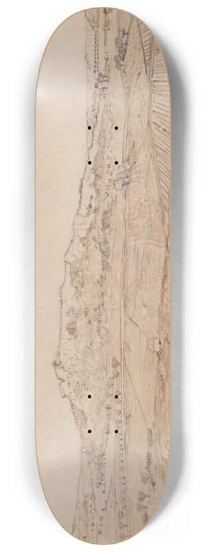 Vincent van Gogh - The Plain of La Crau 8.25 inch art skate deck