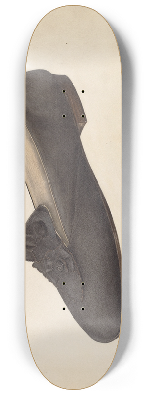 Virginia Berge - Womans Slipper 8.25 inch art skate deck