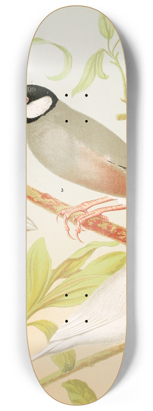 W. A . Blakston - Java Sparrows, Nuns 8.25 inch art skate deck W. A . Blakston - Java Sparrows, Nuns 8.25 inch art skate deck