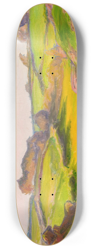 Wadysaw lewiski - Field in Janowiec 8.25 inch art skate deck