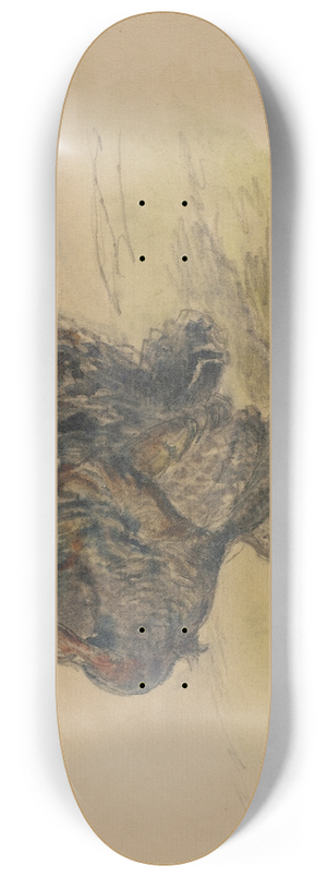 Walter Shirlaw - Turkey 8.25 inch art skate deck