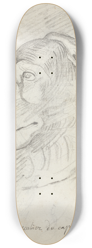 Augustin Pajou - Lions Head from the Capitoline Staircase 8.25 inch art skate deck