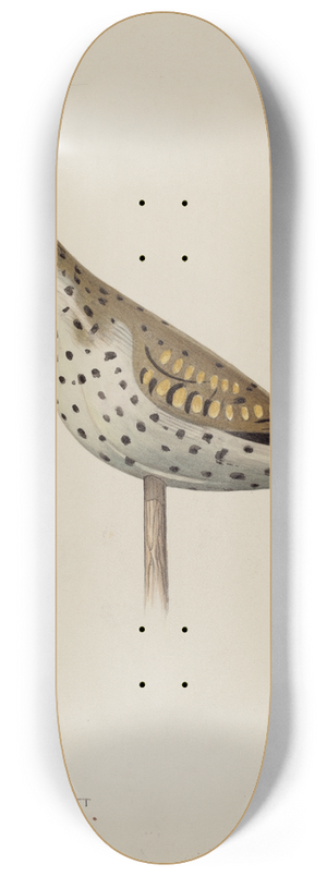 Wellington Blewett - Decoy 8.25 inch art skate deck