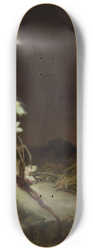 Wilhelm Kotarbiski - Suicides grave 8.25 inch art skate deck