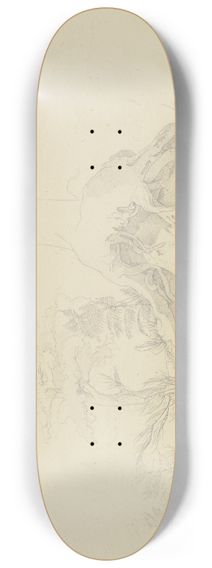 August Lucas - Exposed tree root 8.25 inch art skate deck
