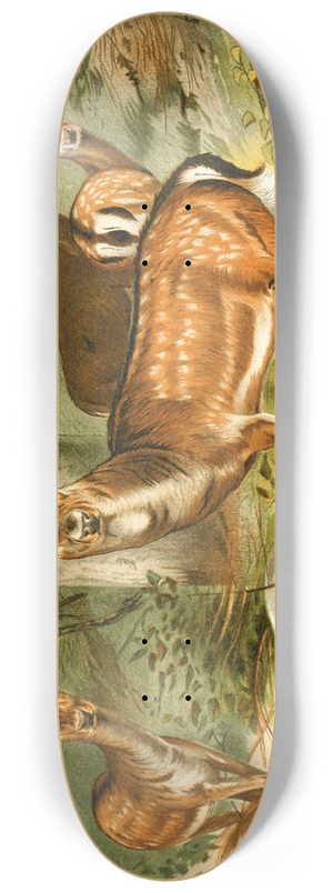 Wilhelm Kuhnert - Fallow Deer 8.25 inch art skate deck