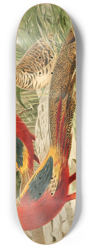 Wilhelm Kuhnert - Golden Pheasants 8.25 inch art skate deck
