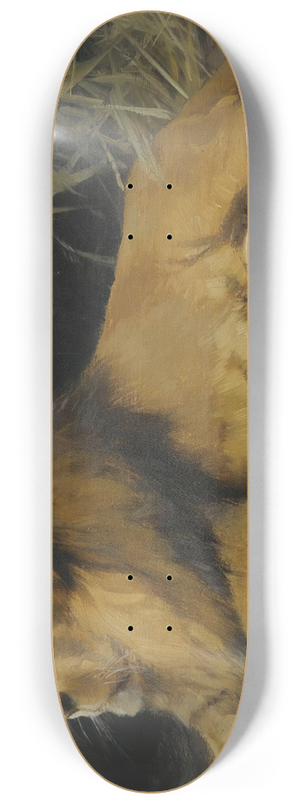 Wilhelm Kuhnert - Lion In His Den 8.25 inch art skate deck