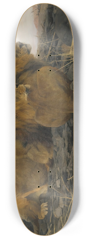 Wilhelm Kuhnert - Lions At Watch 8.25 inch art skate deck