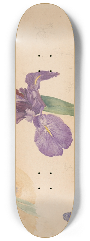 Willem van Konijnenburg - Studies van een iris en ridderspoor 8.25 inch art skate deck