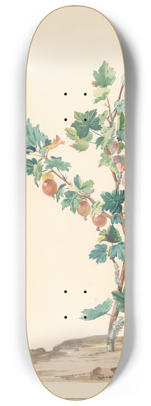 Willem van Leen - Een kruisbes in een landschap 8.25 inch art skate deck