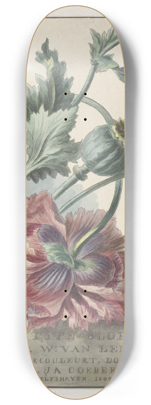Willem van Leen - Klaprozen 8.25 inch art skate deck