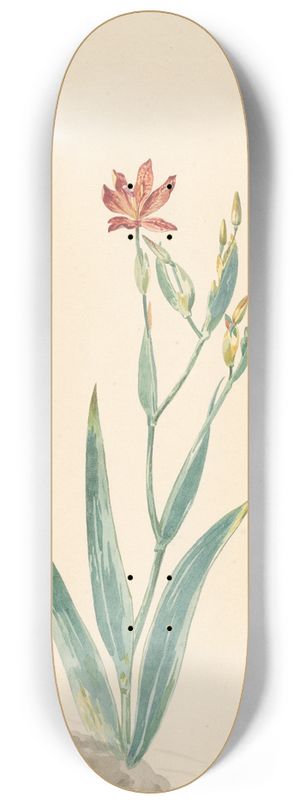 Willem van Leen - Luipaardbloem in een landschap 8.25 inch art skate deck