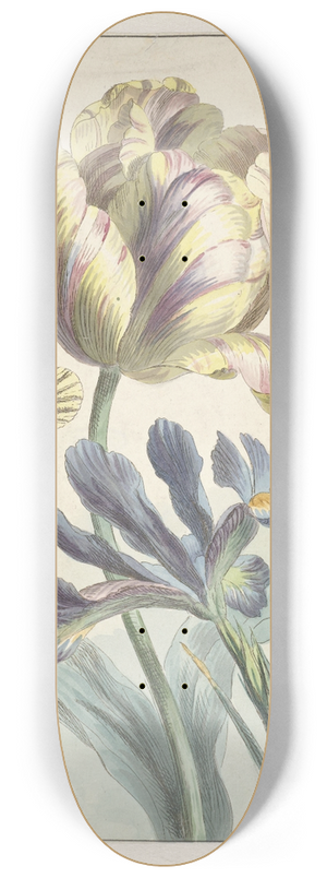 Willem van Leen - Tulp en iris 8.25 inch art skate deck