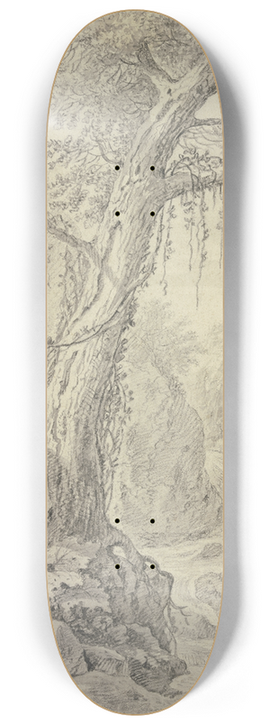Willem von Bemmel - Wasserfall, dabei ein groer Baum 8.25 inch art skate deck