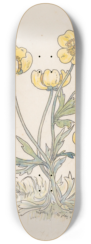 Willem Wenckebach - Boterbloemen 8.25 inch art skate deck Willem Wenckebach - Boterbloemen 8.25 inch art skate deck