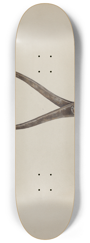 William Frank - Bullet Mold 8.25 inch art skate deck