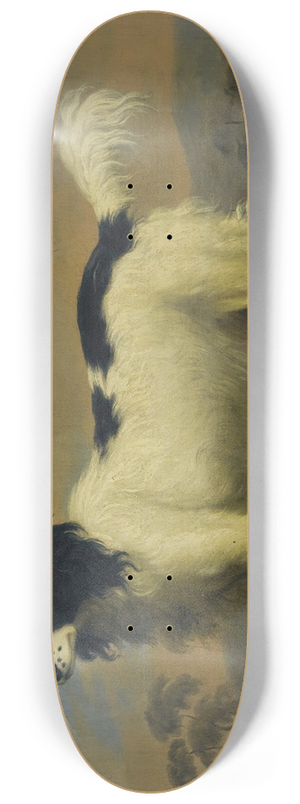 William Greene Junior - A black and white spaniel in a landscape 8.25 inch art skate deck