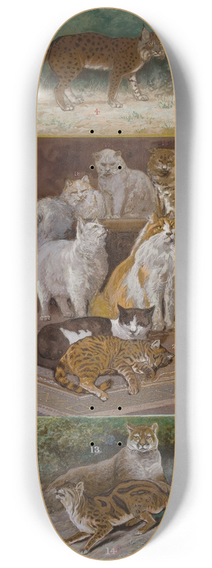 William Henry Drake - Felines 8.25 inch art skate deck