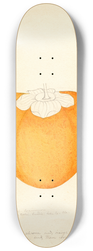 William Henry Prestele - Diospyros: Among 8.25 inch art skate deck