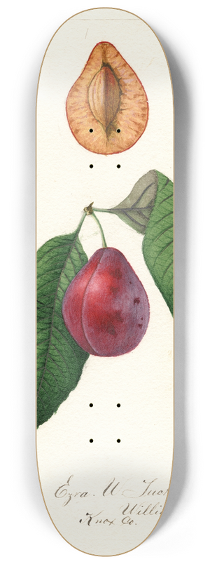 William Henry Prestele - Prunus domestica: Tucker 8.25 inch art skate deck