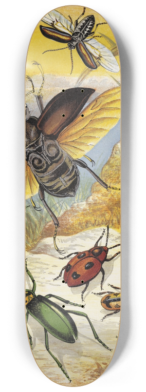 William Houghton - Coleoptera 8.25 inch art skate deck