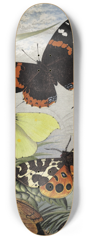 William Houghton - Lepidoptera 8.25 inch art skate deck