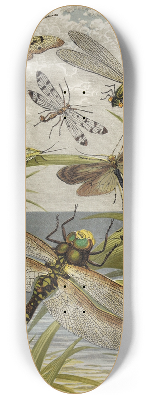 William Houghton - Neuroptera 8.25 inch art skate deck