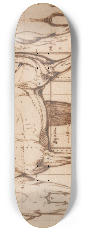 William Mulready - Anatomical Study of a Horse 8.25 inch art skate deck