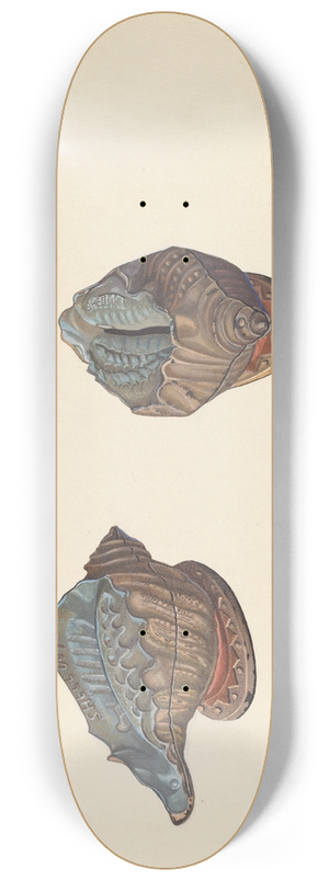 William O. Fletcher - Shell Out Bank 8.25 inch art skate deck