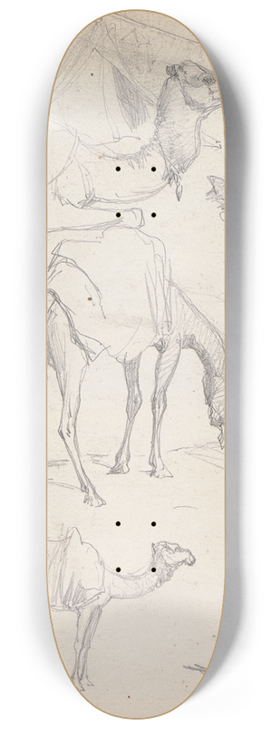 William Simpson - Studies of Camels 8.25 inch art skate deck