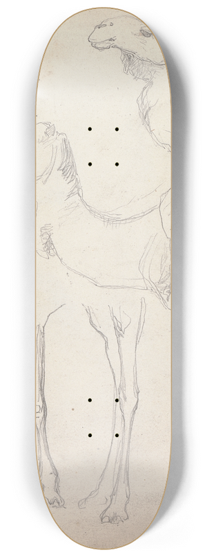 William Simpson - Studies of Camels, Lahore, 17 February 1860 8.25 inch art skate deck