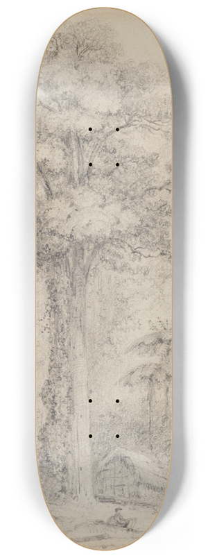 William Swainson - White pine, Stokes Valley, Upper Hutt 8.25 inch art skate deck