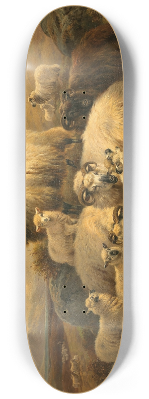 William Watson - Sheep in the Scottish Highlands 8.25 inch art skate deck