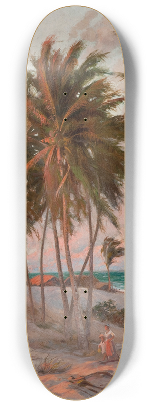Aurlio Figueiredo - Beach in Fortaleza 8.25 inch art skate deck