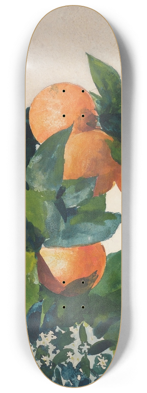 Winslow Homer - Oranges on a Branch 8.25 inch art skate deck Winslow Homer - Oranges on a Branch 8.25 inch art skate deck