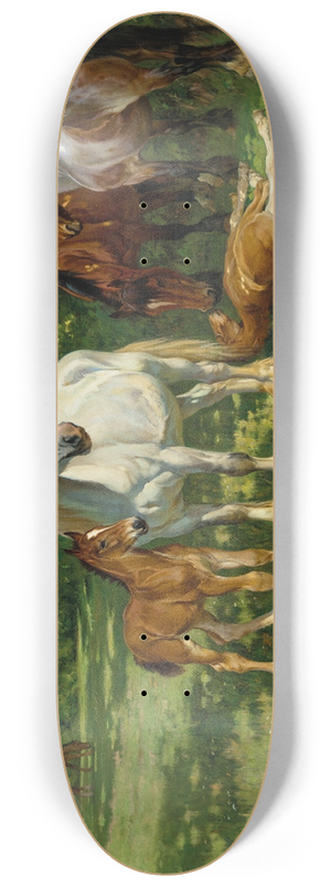 Wright Barker - Maternity 8.25 inch art skate deck