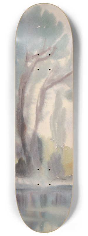 Zolo Palugyay - River Cove 8.25 inch art skate deck