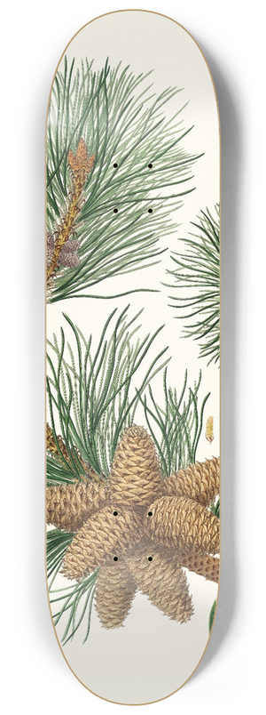 Aylmer Bourke Lambert - Pinus rigida = Three-leaved Virginian pine. 8.25 inch art skate deck