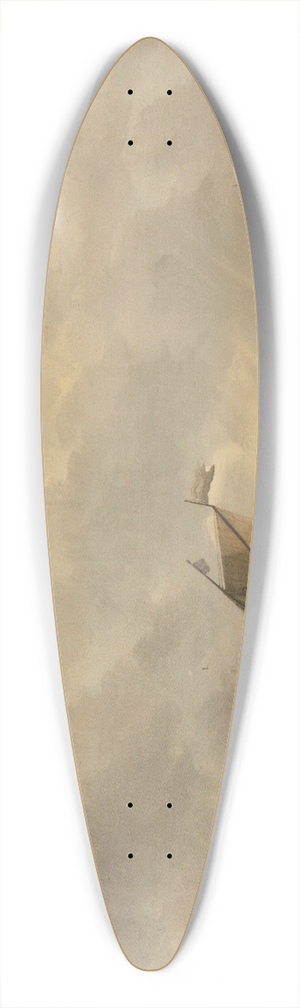 Abraham van Beyeren - River View 39.3 inch art pintail longboard deck