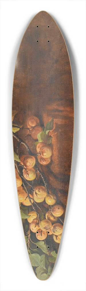 Adam Ludwig Kunz - Aprikosenzweig 39.3 inch art pintail longboard deck