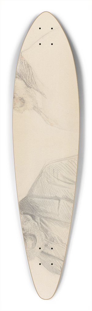 Adolph Tidemand - Bjrnejegeren Ola Messelt 39.3 inch art pintail longboard deck