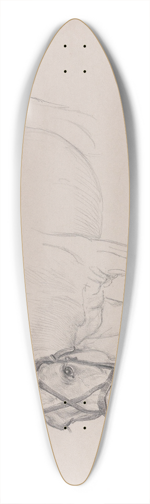 Adolph Tidemand - Horse 39.3 inch art pintail longboard deck