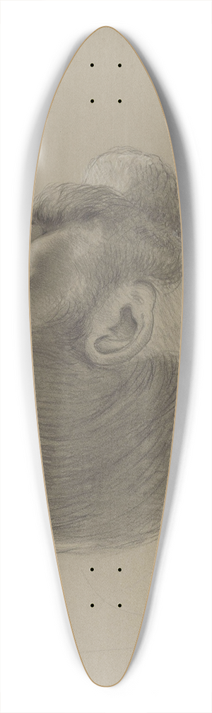 Adolph Tidemand - Mannshode 39.3 inch art pintail longboard deck