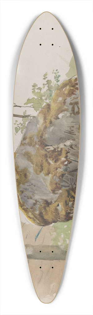 Adolph Tidemand - Stein, Viky 39.3 inch art pintail longboard deck