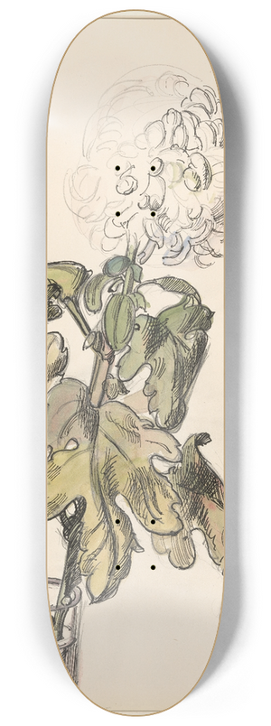 Barbara Elisabeth van Houten - Bloeiende chrysant, in een vaasje 8.25 inch art skate deck