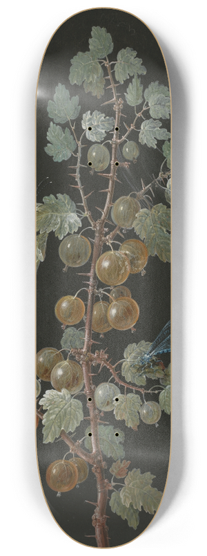 Barbara Regina Dietzsch - A Branch of Gooseberries with a Dragonfly, an Orange-Tip Butterfly, and a Caterpillar 8.25 inch art skate deck